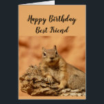 Happy Birthday Best Friend Funny Squirrel Relax<br><div class="desc">Een grappige kaart voor je hardwerkende beste vriend die hen eraan herinnert te ontspannen met een schattig ontspannend,  knappe eekhoorn schattig dier. Inside Verse: En je weet dat je op je verjaardag gewoon moet koelen en ontspannen,  toch?</div>