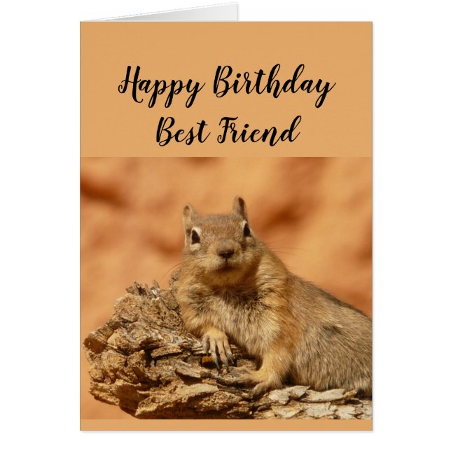 Happy Birthday Best Friend Funny Squirrel Relax (Voorkant)
