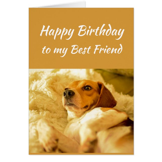 Happy Birthday Best Friend Real Age Humor Fun Dog (Voorkant)
