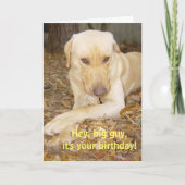 Happy Birthday Big Guy Kaart (Voorkant)