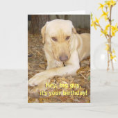 Happy Birthday Big Guy Kaart (Gele Bloem)