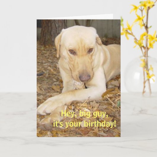 Happy Birthday Big Guy Kaart (Gele Bloem)