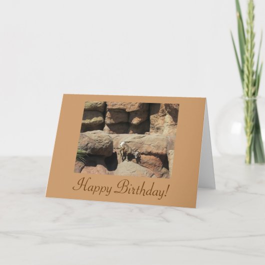 Happy Birthday Bighorn Sheep Kaart (Voorkant)