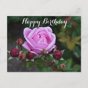 Happy Birthday Bishop's Castle Roos #1 Briefkaart