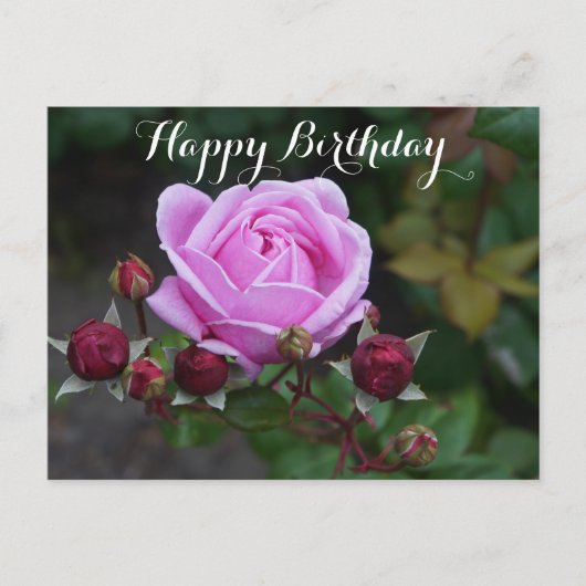 Happy Birthday Bishop's Castle Roos #1 Briefkaart (Voorkant)