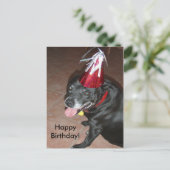 Happy Birthday Black Dog met rood Pet Briefkaart (Staand voorkant)