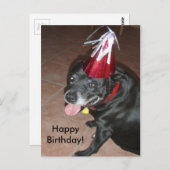 Happy Birthday Black Dog met rood Pet Briefkaart (Voorkant / Achterkant)