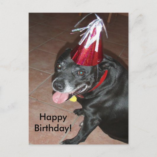 Happy Birthday Black Dog met rood Pet Briefkaart (Voorkant)