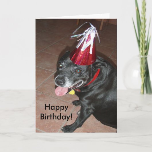 Happy Birthday Black Dog met rood Pet Kaart (Voorkant)