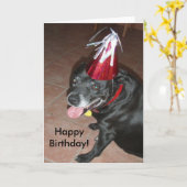 Happy Birthday Black Dog met rood Pet Kaart (Gele Bloem)
