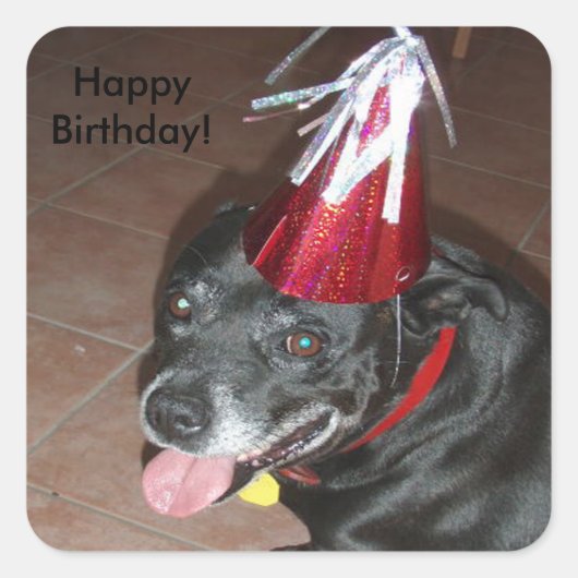 Happy Birthday Black Dog met rood Pet Vierkante Sticker (Voorkant)