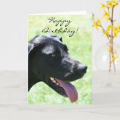 Happy Birthday Black Great Dane wenskaart Kaart (Gele Bloem)