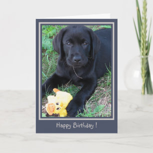 Happy Birthday Black Lab Cute Puppy Duck Dog Kaart