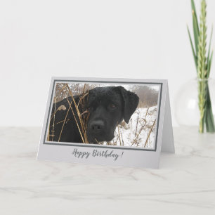 Happy Birthday Black Lab - Grijze Eend Jachthond Kaart