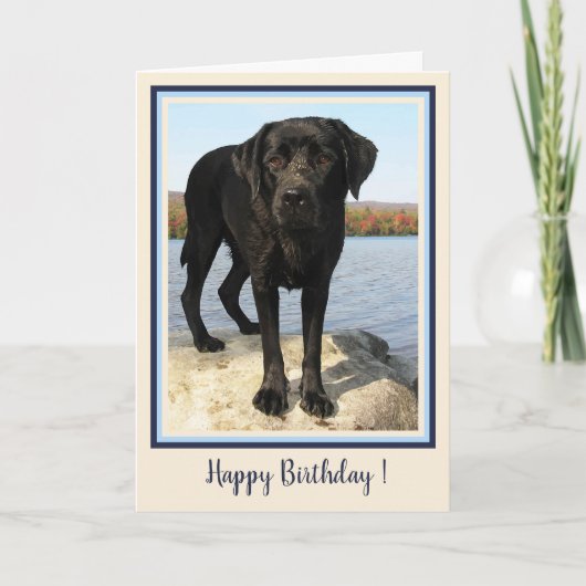Happy Birthday Black Labrador Beach Puppy Cute Dog Bedankkaart (Voorkant)