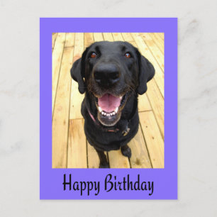 Happy Birthday Black Labrador Retriever Post Card Briefkaart