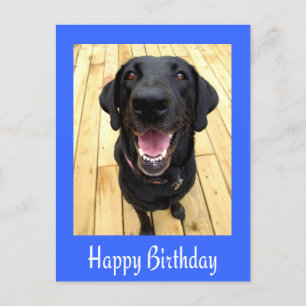 Happy Birthday Black Labrador Retriever Post Kaart