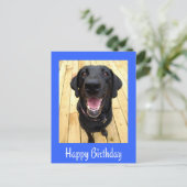 Happy Birthday Black Labrador Retriever Post Kaart (Staand voorkant)