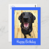Happy Birthday Black Labrador Retriever Post Kaart (Voorkant / Achterkant)