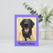 Happy Birthday Black Labrador Retriever Post Kaart (Staand voorkant)