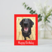 Happy Birthday Black Labrador Retriever Post Kaart (Staand voorkant)