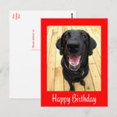 Happy Birthday Black Labrador Retriever Post Kaart (Voorkant / Achterkant)