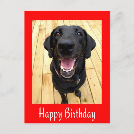 Happy Birthday Black Labrador Retriever Post Kaart (Voorkant)