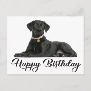Happy Birthday Black Labrador Retriever Puppy Dog Briefkaart