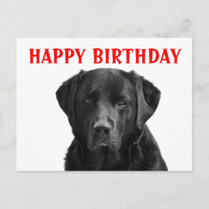 Happy Birthday Black Labrador Retriever Puppy Dog Briefkaart