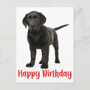 Happy Birthday Black Labrador Retriever Puppy Dog Briefkaart