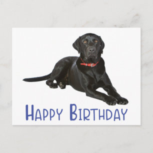 Happy Birthday Black Labrador Retriever Puppy Dog Briefkaart