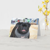Happy Birthday Black Pug wenskaart Kaart (Gele Bloem)