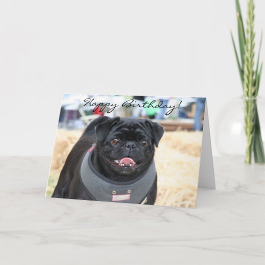 Happy Birthday Black Pug wenskaart Kaart (Voorkant)