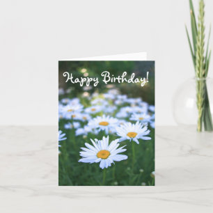 Happy Birthday, Blank, Daisies Kaart