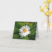 Happy Birthday, Blank Daisy Kaart (Gele Bloem)