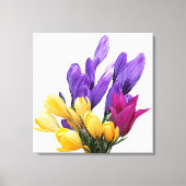 Happy Birthday  bloemige kleurrijke krokus schatti Canvas Afdruk (Voorkant)