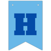 Happy Birthday Blue Boys Party Foto Vlaggetjes (Tweede vlag)