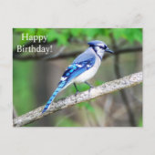 Happy Birthday Blue Jay Briefkaart (Voorkant)