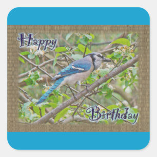 Happy Birthday Blue Jay Vierkante Sticker