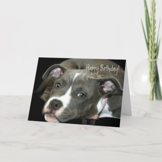 Happy Birthday Blue Pitbull Puppy wenskaart Kaart (Voorkant)