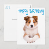 Happy Birthday Border Collie Puppy Dog Post Kaart (Voorkant / Achterkant)
