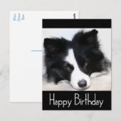 Happy Birthday Border Collie Puppy Dog Post Kaart (Voorkant / Achterkant)