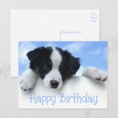 Happy Birthday Border Collie Puppy Dog Post Kaart (Voorkant / Achterkant)