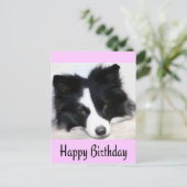 Happy Birthday Border Collie Puppy Dog Post Kaart (Staand voorkant)