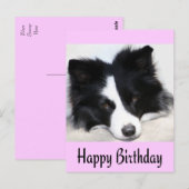 Happy Birthday Border Collie Puppy Dog Post Kaart (Voorkant / Achterkant)