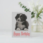 Happy Birthday Border Collie Puppy Dog Post Kaart (Staand voorkant)