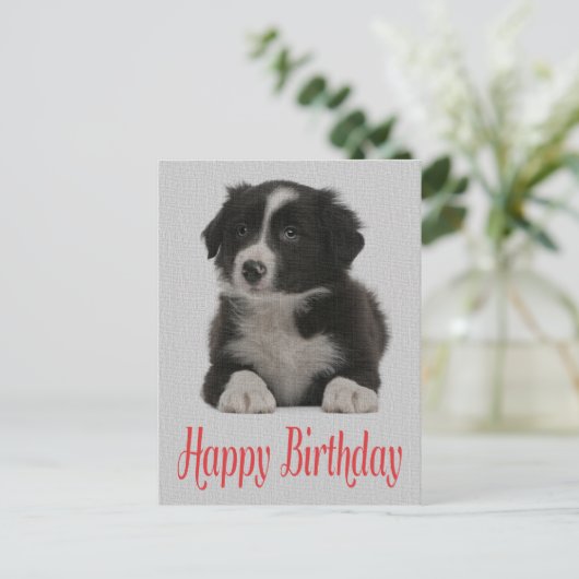 Happy Birthday Border Collie Puppy Dog Post Kaart (Staand voorkant)