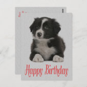Happy Birthday Border Collie Puppy Dog Post Kaart (Voorkant / Achterkant)