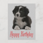 Happy Birthday Border Collie Puppy Dog Post Kaart (Voorkant)
