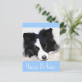 Happy Birthday Border Collie Puppy Dog Post Kaart (Staand voorkant)
